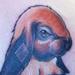 Tattoos - Velveteen Rabbit - 68032